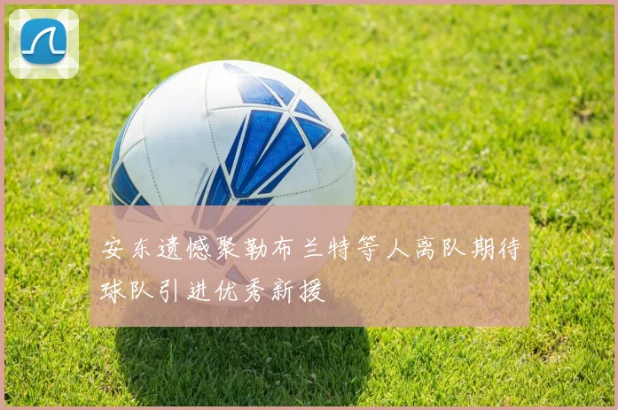 安东遗憾聚勒布兰特等人离队期待球队引进优秀新援